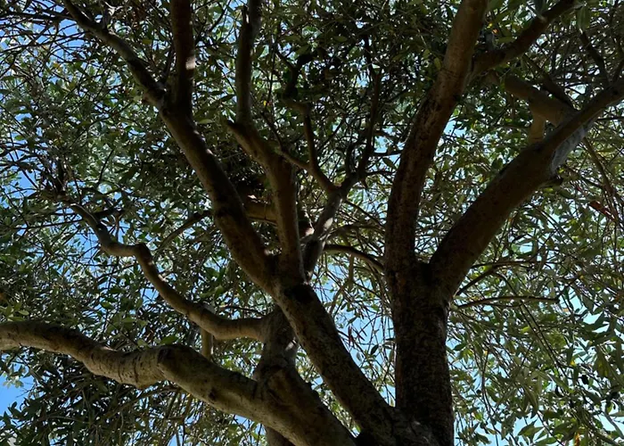 Santatrada23 Villa San Giovanni