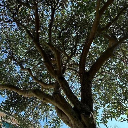 Santatrada23 Villa San Giovanni