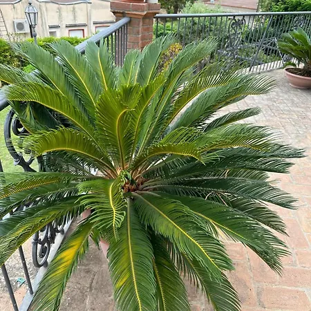 Santatrada23 וילה סן ג'ובאני